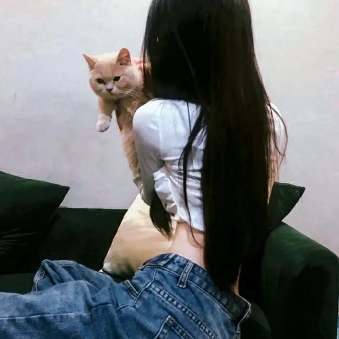 镇魂街第二季