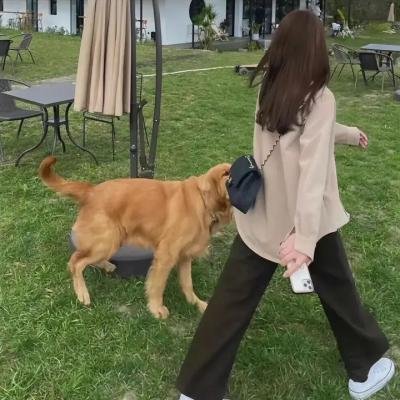 索命连线